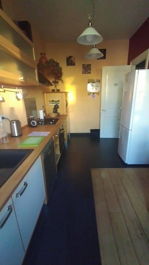 Le Grand Charpentier Lägenhet Mulhouse Exteriör bild